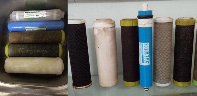 tai sao phai thay loi kangaroo theo dinh ky